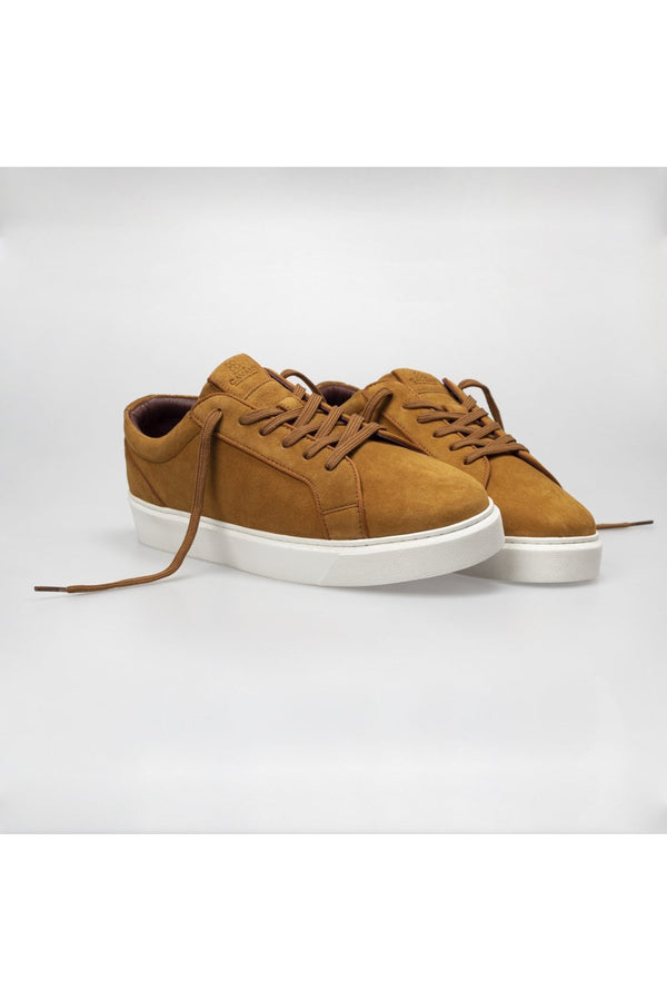 Introducing our brand new P50 Trainer range, available in 9 different colours to match with almost any outfit you're wearing. Our P50 trainers are perfect for that smart/casual look. Pair them with one of our high-quality suits for a laid back smart look for the office or if you're looking for something more relaxed and casual why not pair it with one of our Chino's and a Polo shirt.